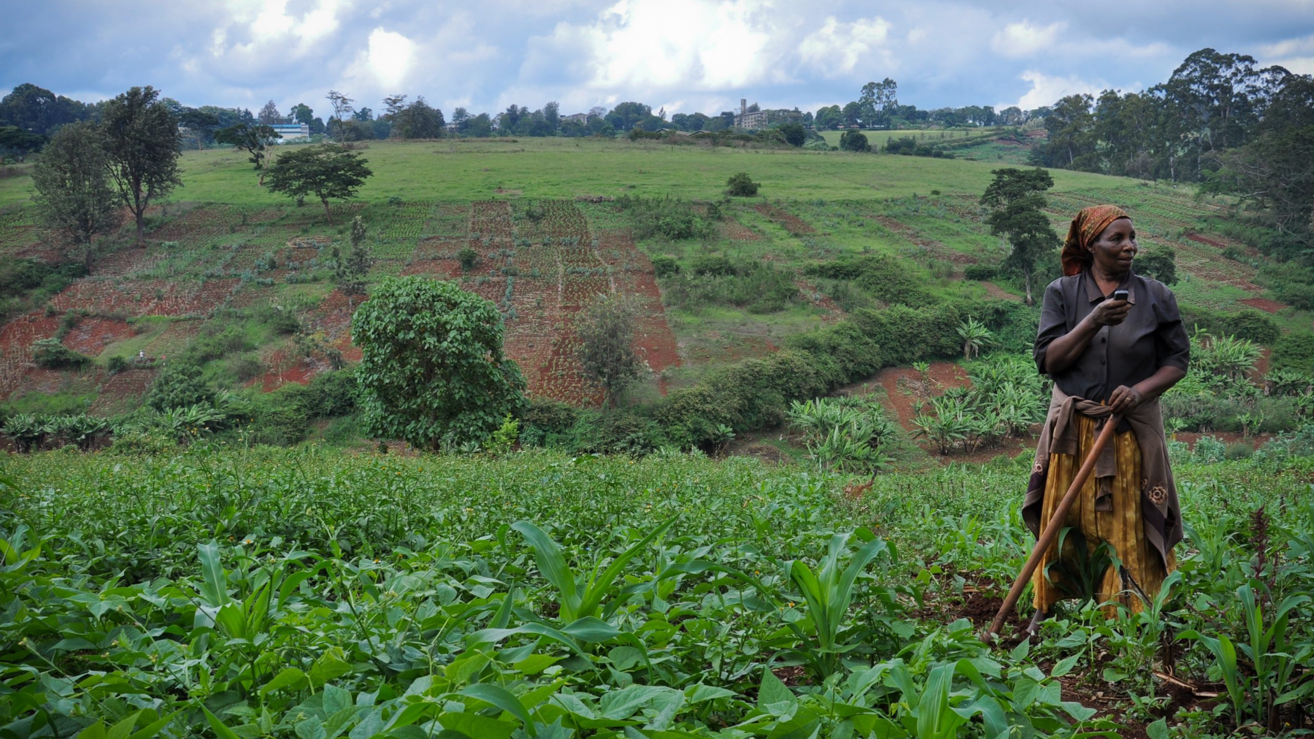  Un boost de € 50 millions aux agriculteurs du Sierra Leone