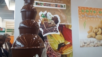  Hausse de 10% des broyages de fèves de cacao en Côte d’Ivoire en septembre