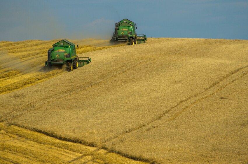  Les approvisionnements alimentaires mondiaux seront mis à rude épreuve en 2024