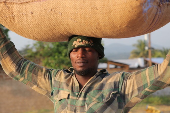  Au Ghana, la crise de l’approvisionnement en cacao s’aggrave